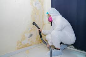  Beach City, TX Mold Removal Services Pros